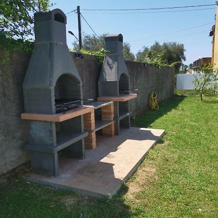 Villa Flora Affittacamere Luni 외부 사진