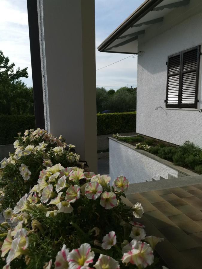 Villa Flora Affittacamere Luni 외부 사진
